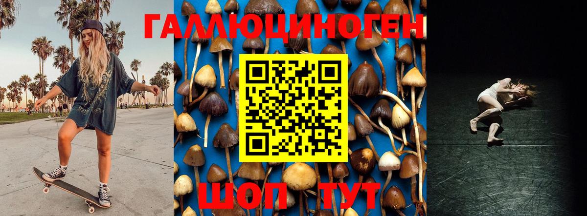 Йошкар-Ола  Псилоцибиновые грибы прущие грибы  Галлюциногенные грибы Cubensis  Вход с VPN 