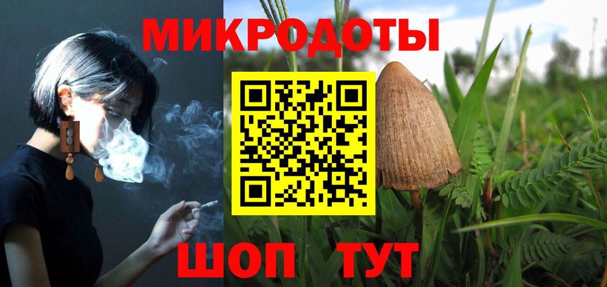Псилоцибиновые грибы Psilocybe Йошкар-Ола