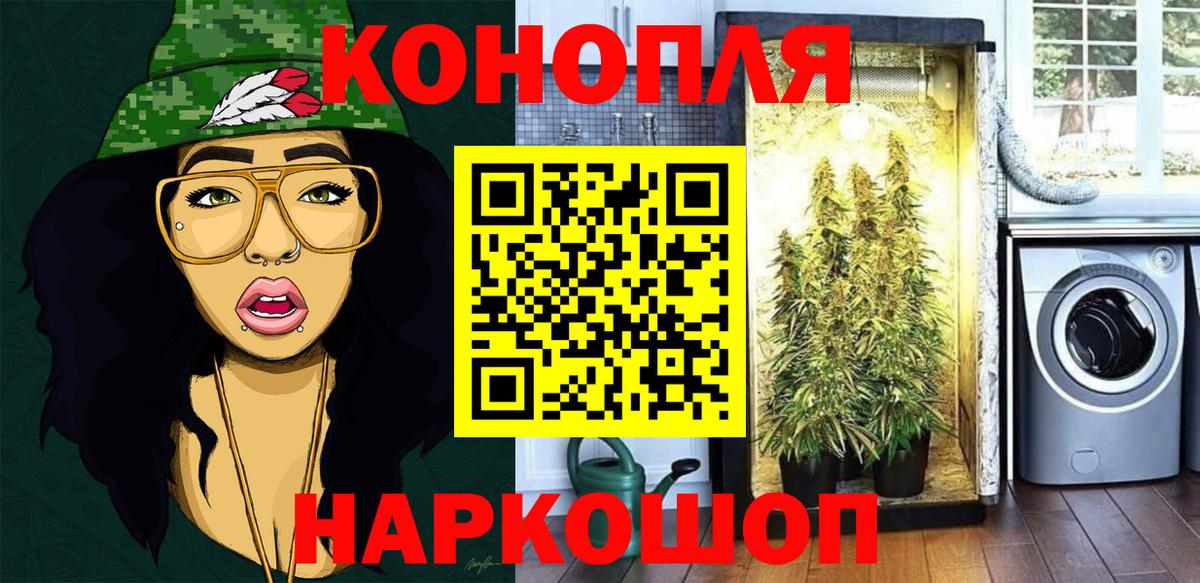 Бошки марихуана THC 21% Йошкар-Ола